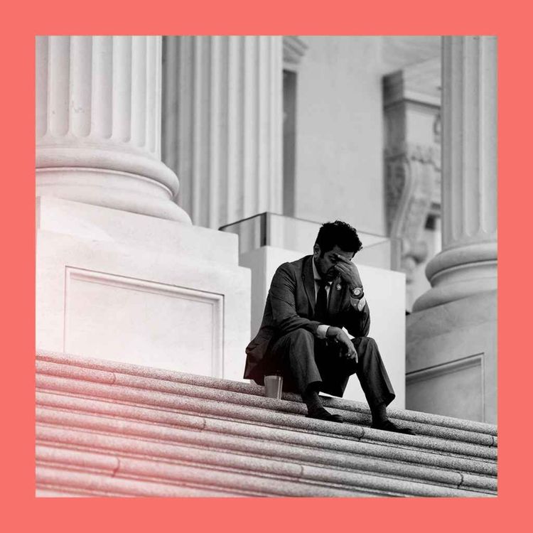 cover art for Why Congress just isn’t any fun