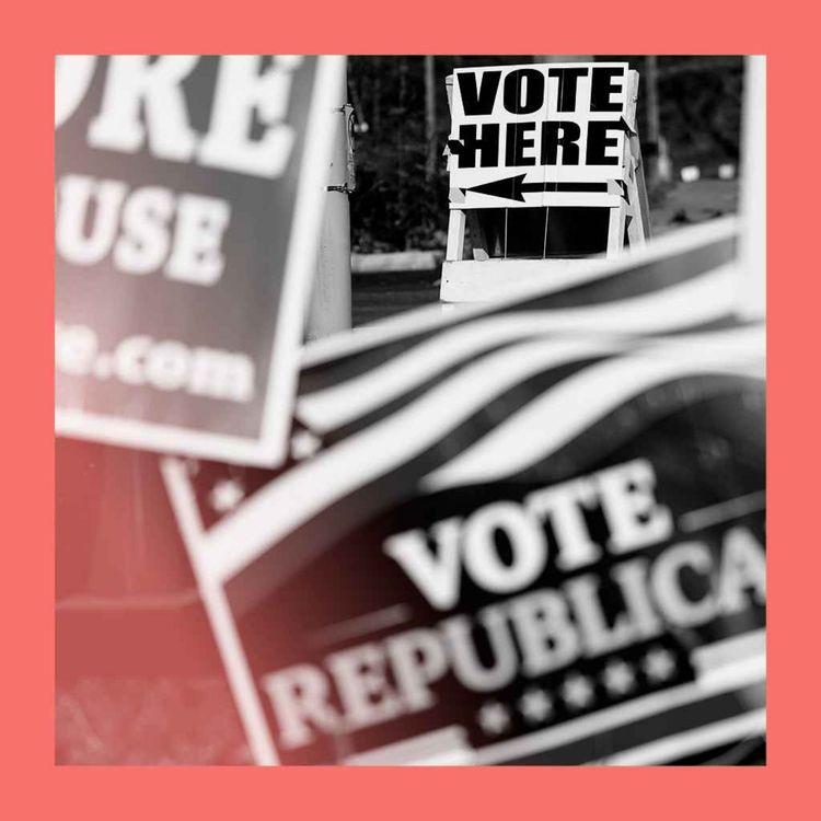 cover art for Meddling and the midterms