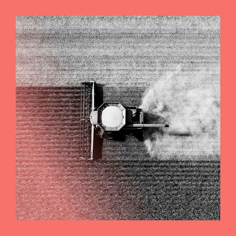 cover art for Fertiliser, food stamps and fed-up farmers