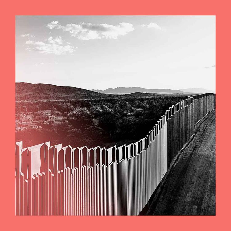 cover art for Donald Trump’s immigration policy is changing America