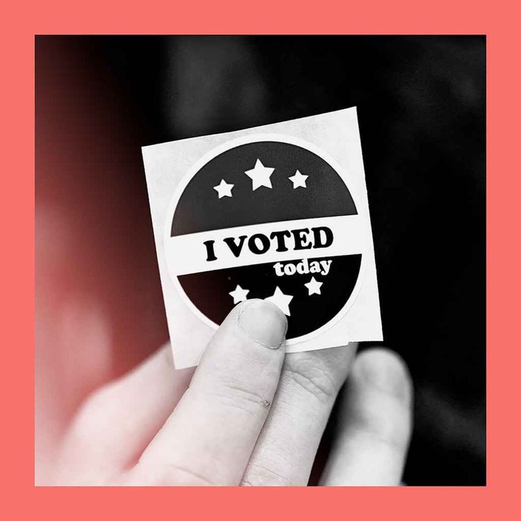 cover art for The midterms preview