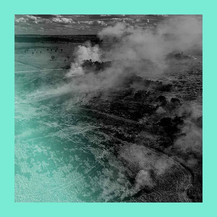 cover art for Amazon crime: how to fix the economics destroying the rainforest