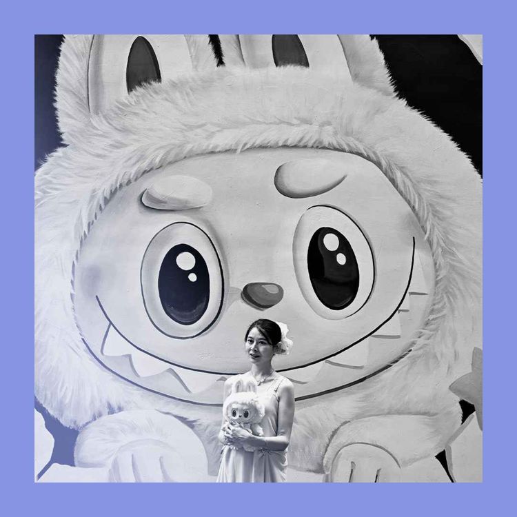 cover art for Stayed in China: a domestic-brand boom