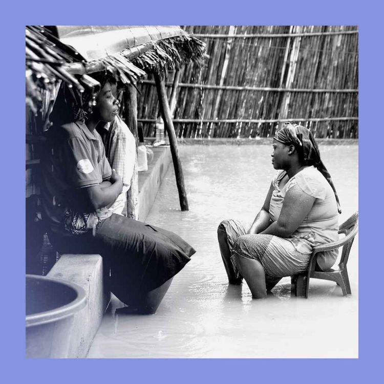 cover art for That warm buzzy feeling: malaria and climate change