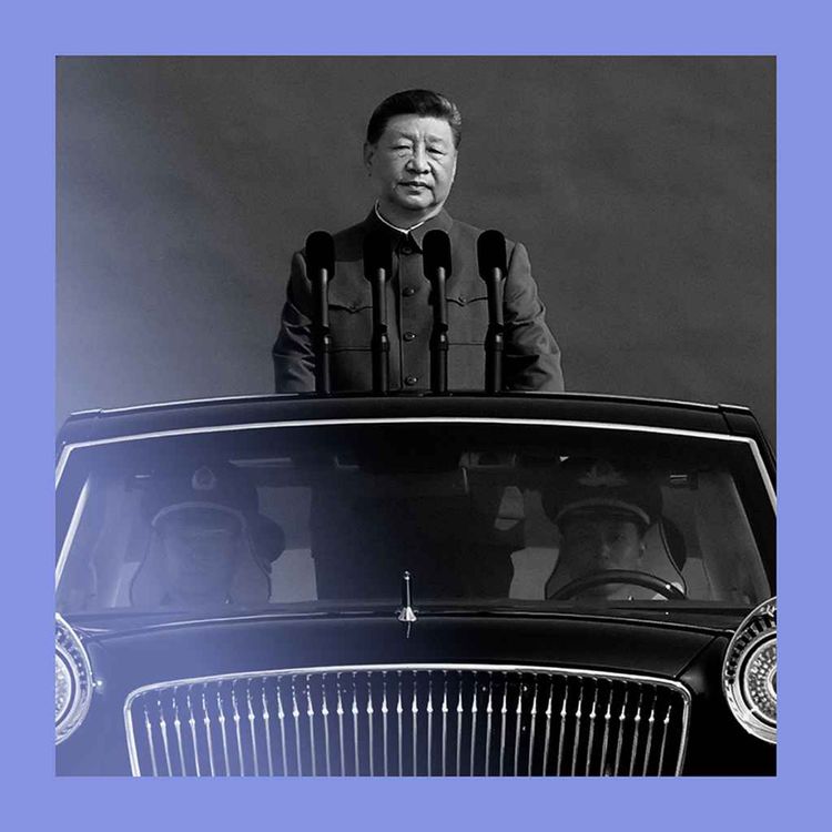 cover art for Sino-the-times: China gathers global allies 