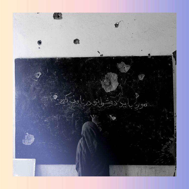 cover art for The Weekend Intelligence: Studying in the shadows