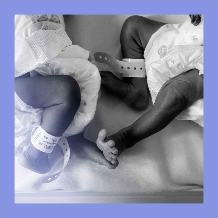 cover art for Honey, we shrunk the kids: population fall