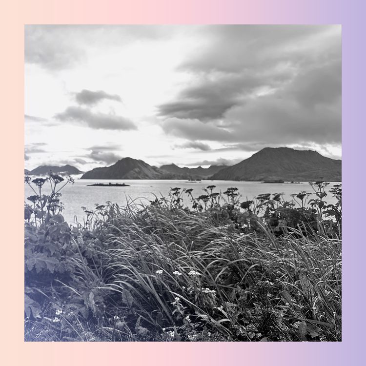 cover art for The Weekend Intelligence: Cold War Island