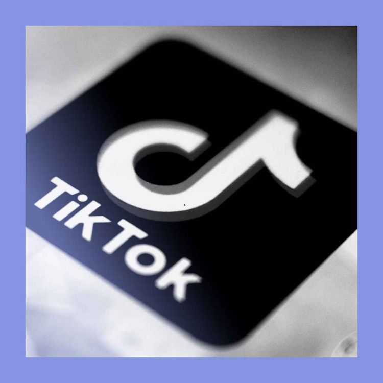 cover art for Under different thumbs: a scant TikTok deal