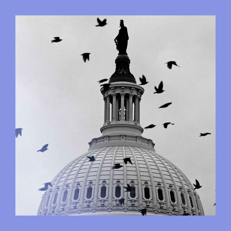 cover art for Shut happens: US federal funding stops