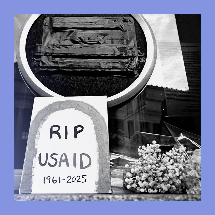 cover art for Aid pro quo: Trump weaponises foreign help 