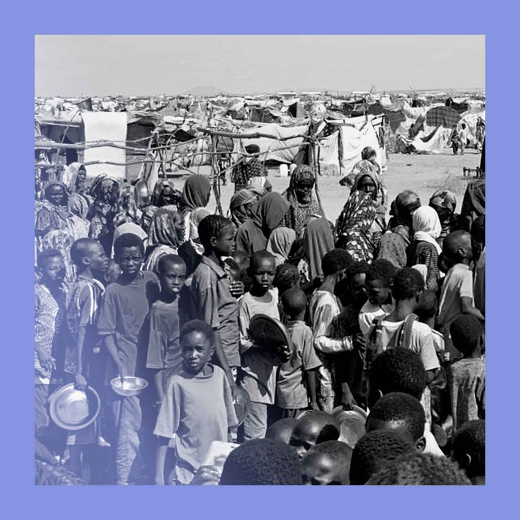 cover art for Capital gained: a grim turn in Darfur