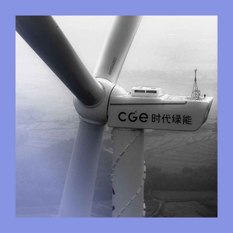 cover art for The little green look: China’s energy revolution