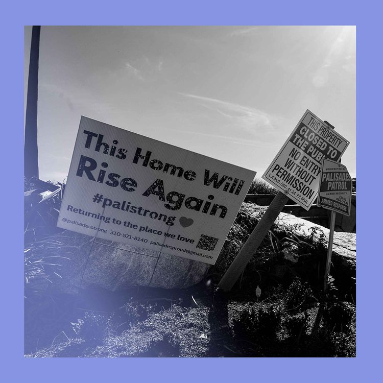 cover art for In the line of fires: LA’s ashen suburbs one year on