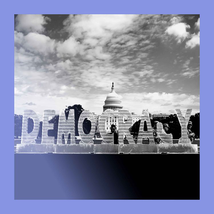 cover art for Democracy on ICE? The mood turns in America 
