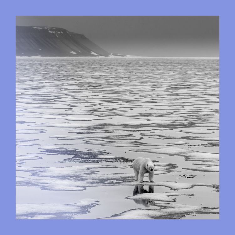 cover art for Ice, ice, maybe: should the Arctic be refrozen?