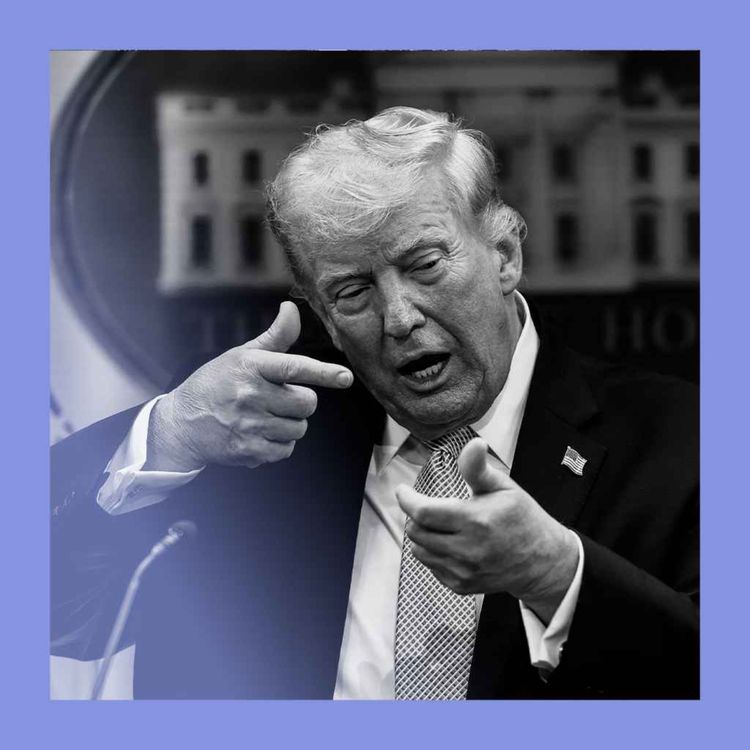 cover art for Over troubled waters: Trump’s bridge-and-plant plot