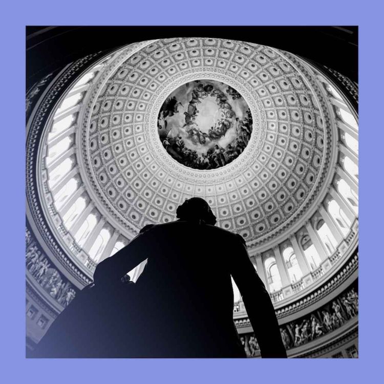 cover art for Bringing the House down: our American midterms model