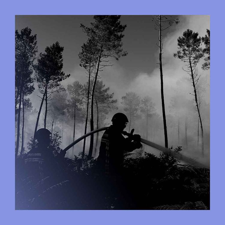cover art for Burning questions: a more fire-prone world