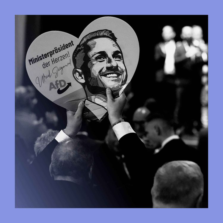 cover art for All right on the night: AfD’s victory