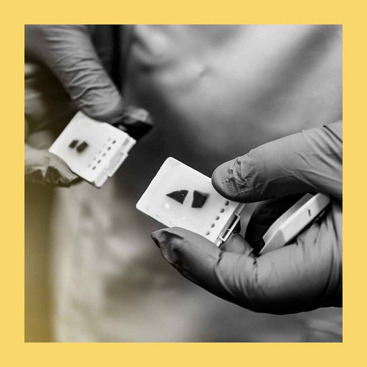 cover art for Science is winning the war on cancer