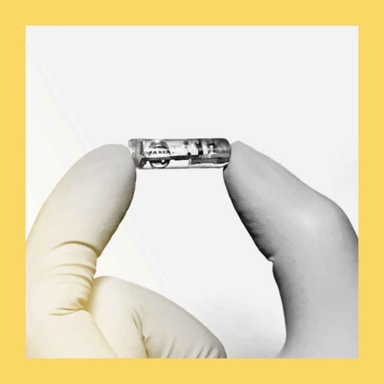 cover art for Eat your electronics, boost your health