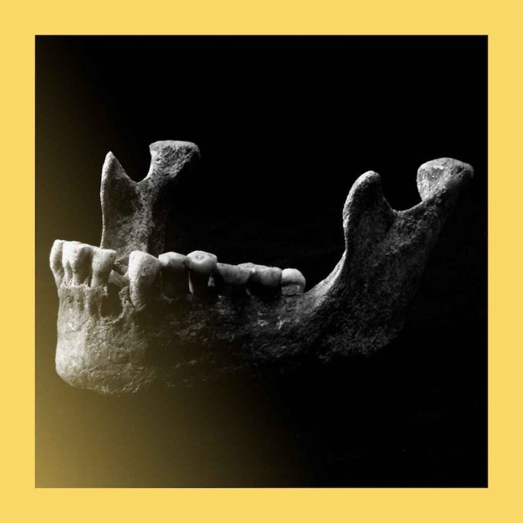 cover art for Ancient DNA is uncovering the history of plague