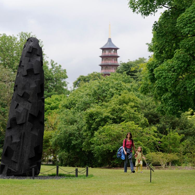 cover art for Babbage: What can science do for my garden?