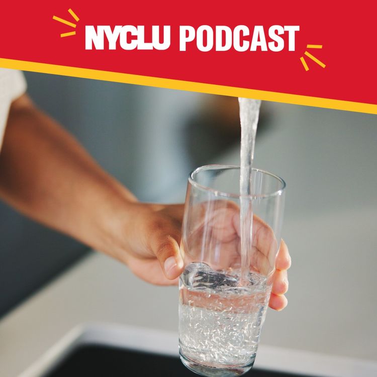 cover art for What’s Causing New York’s Lead Crisis? With Shannon Burkett