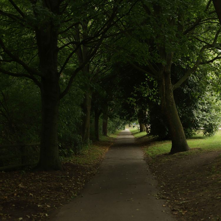 cover art for Leaving the Park