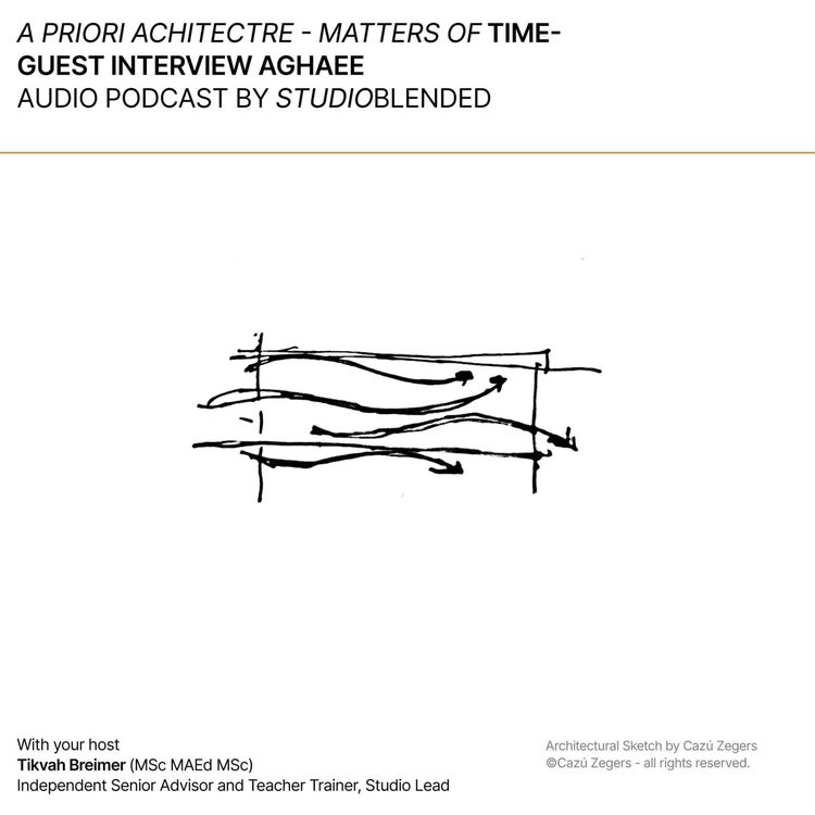 cover art for Guest interview Atefeh Aghaee, team lead blended learning advisors TU/D