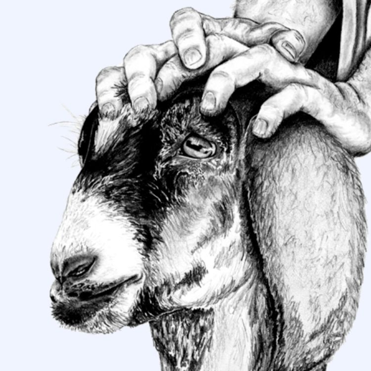 cover art for Leviticus - Atonement