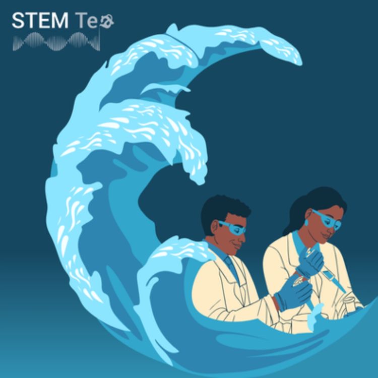 cover art for STEM Tea | Mentoring junior faculty: how to handle the research tidal wave