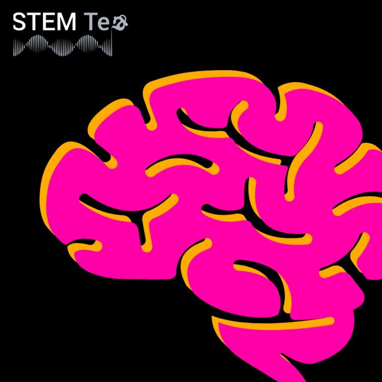 cover art for STEM Tea | Founding Black in Neuro