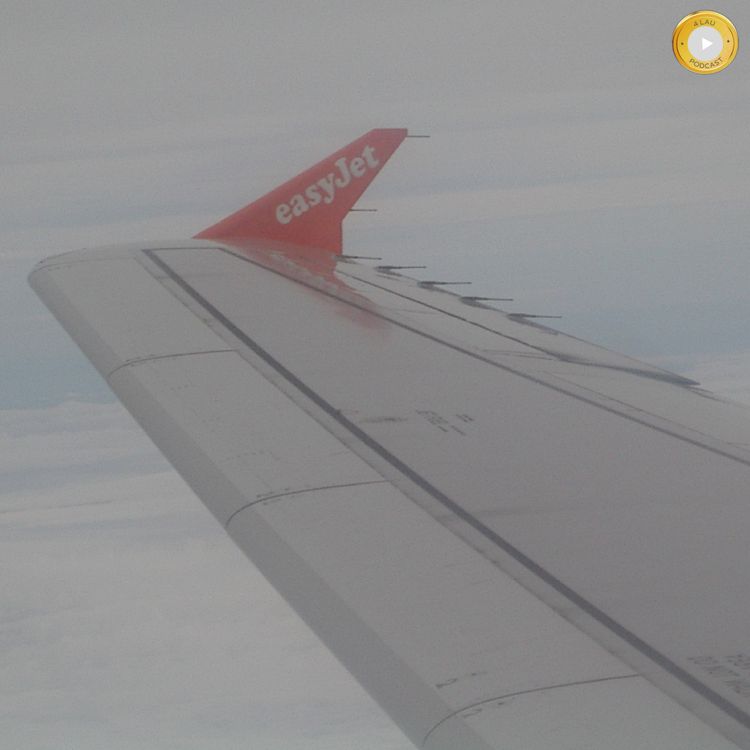 cover art for Flugerstattung