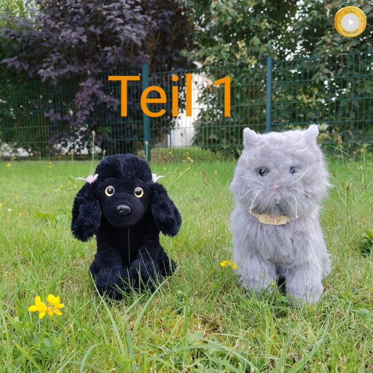 cover art for Tierärzte und Tierärztinnen für Bedürftige Teil 1