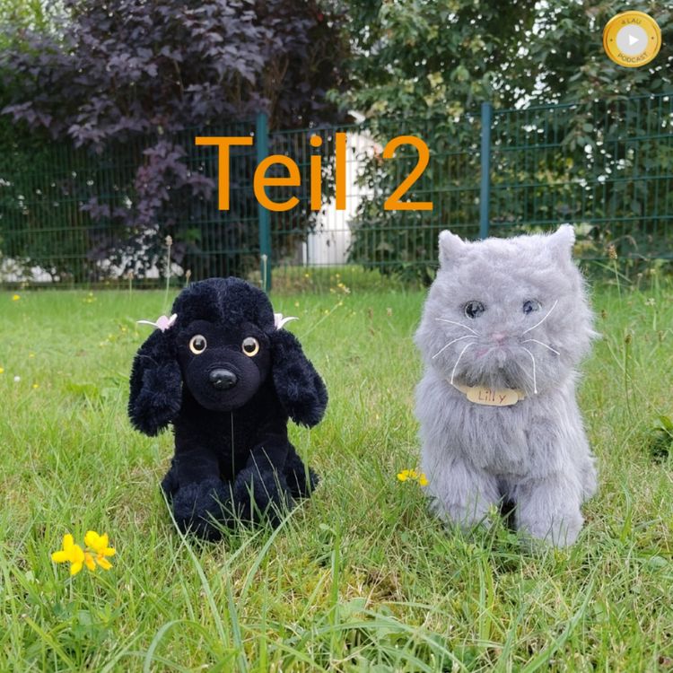 cover art for Tierärzte und Tierärztinnen für Bedürftige Teil 2