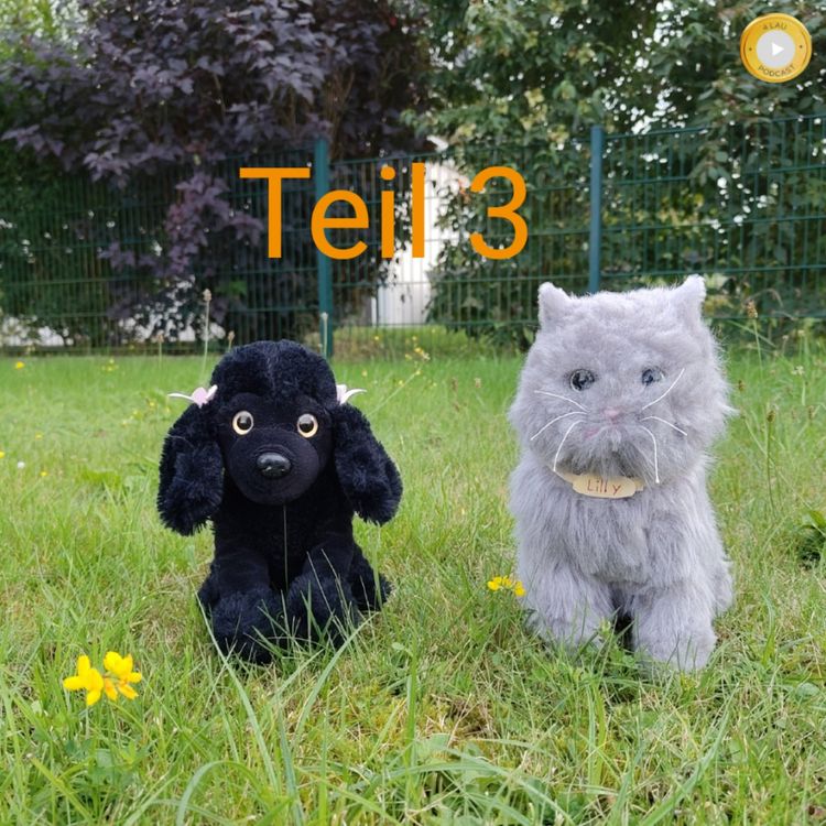 cover art for Tierärzte und Tierärztinnen für Bedürftige Teil 3