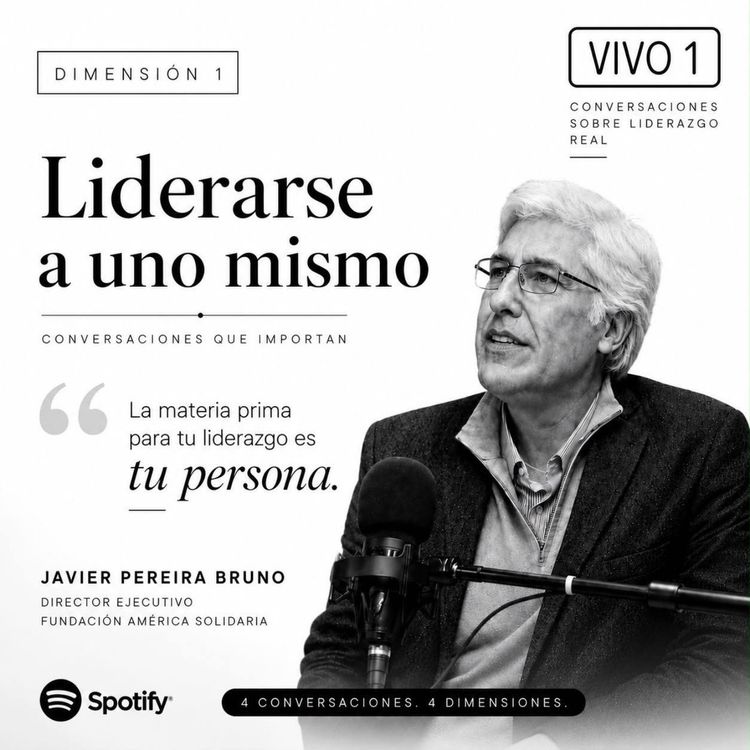 cover art for Vivo 1 | Dimensión 1