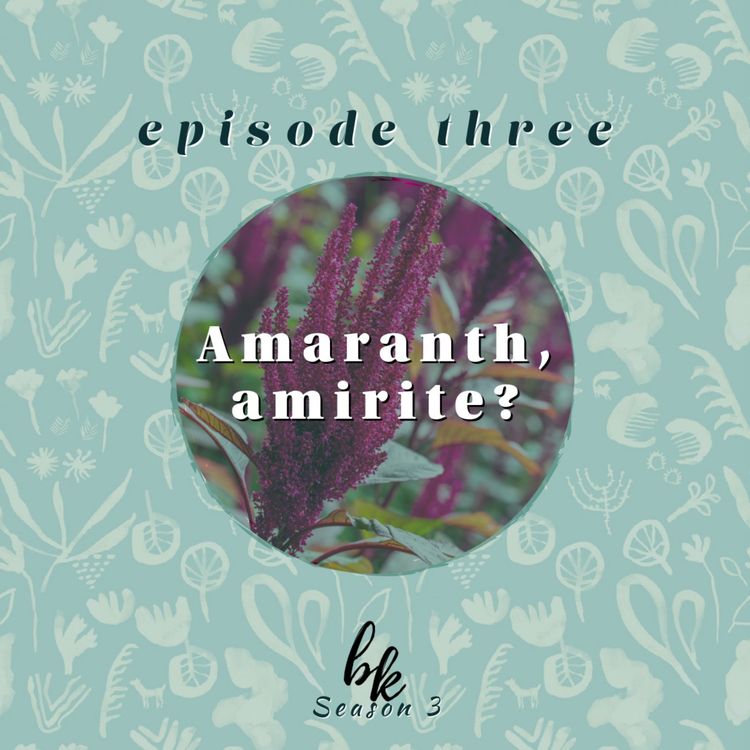 cover art for Amaranth, Amirite?