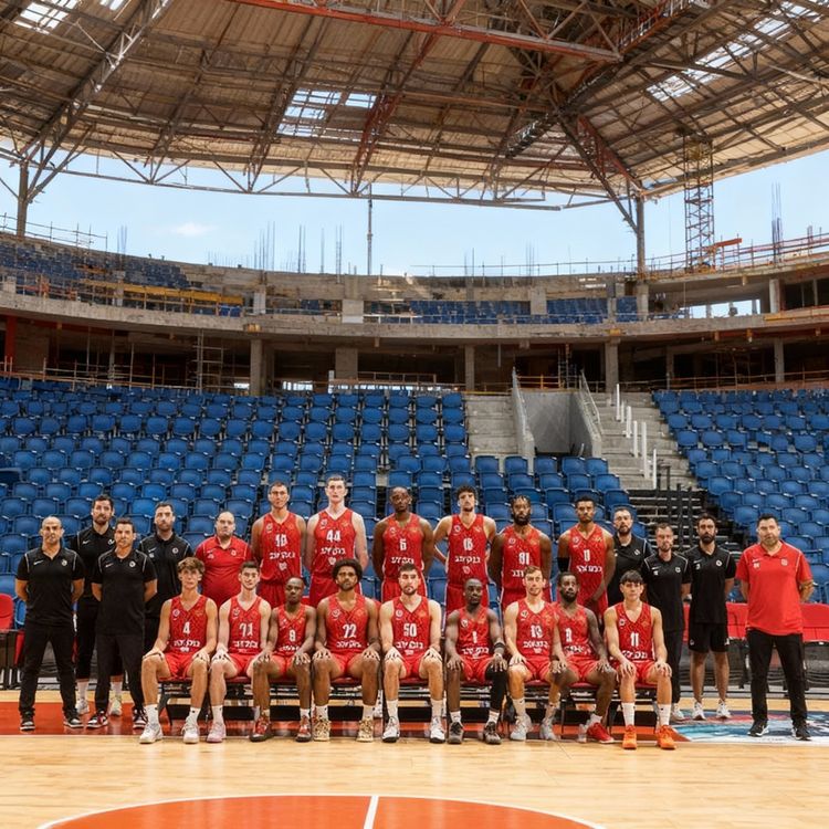 cover art for מסקנות ראשונות