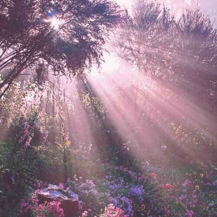 cover art for Poetry Session