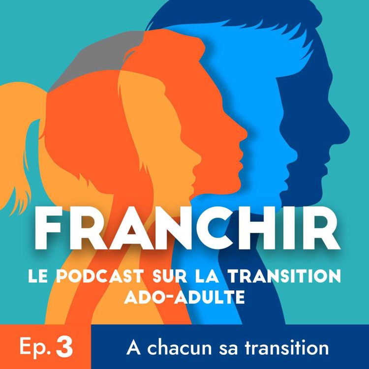 cover art for Ep.3 : À chacun sa transition