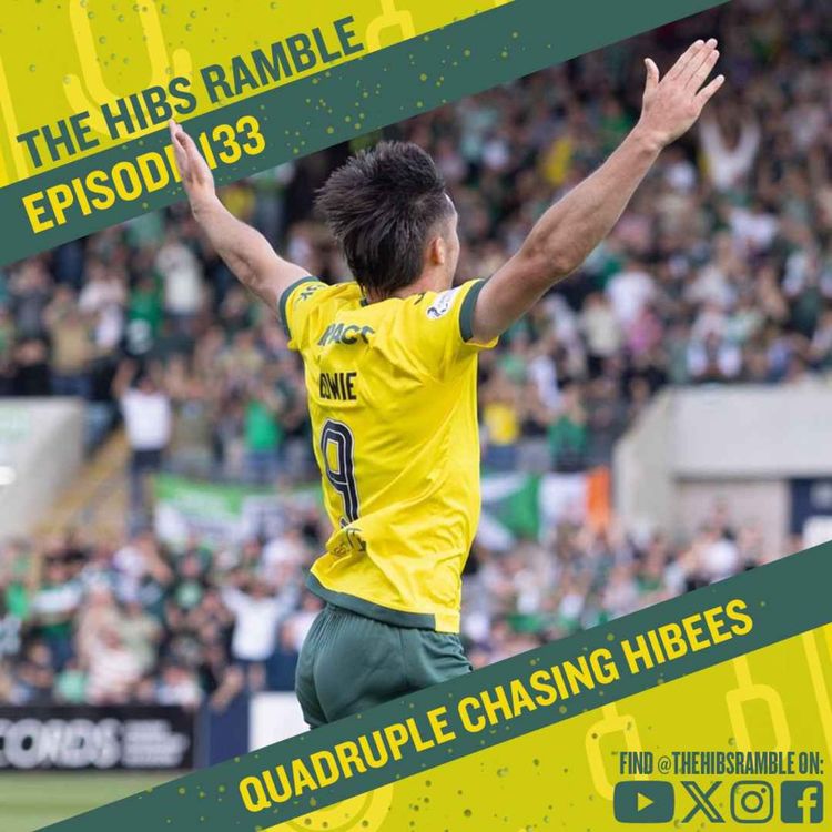 cover art for Episode 133: Quadruple Chasing Hibees