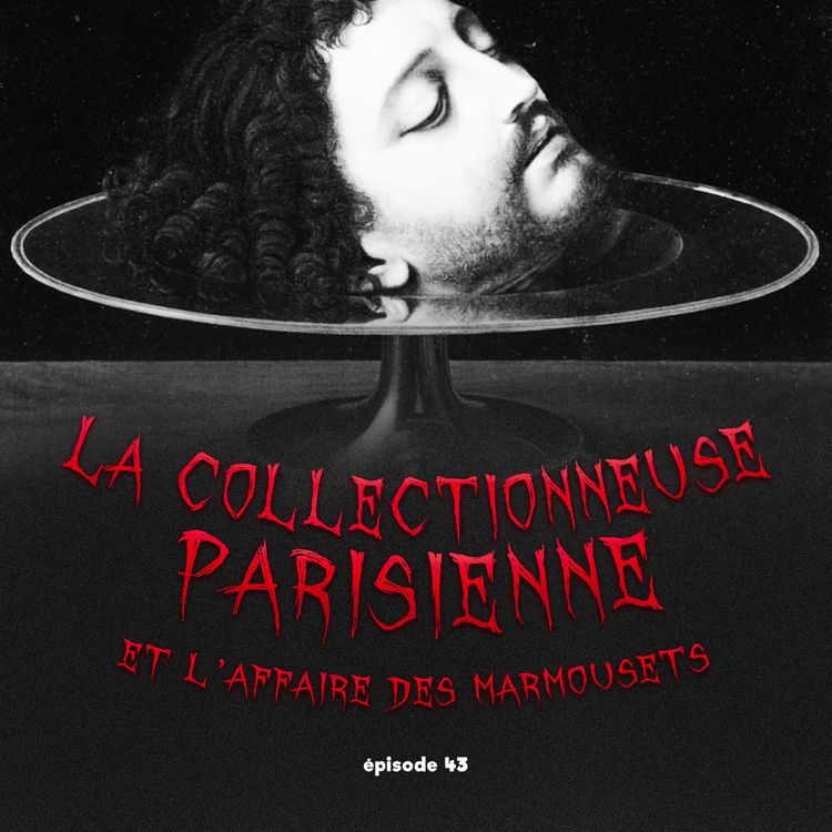 cover art for La Collectionneuse parisienne et l'affaire des Marmousets 