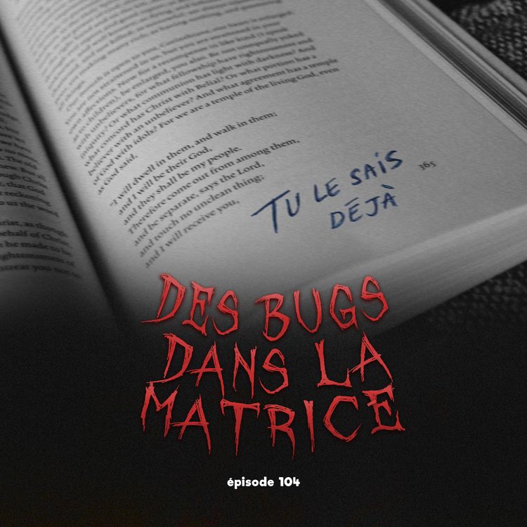 cover art for #104 - Témoignages effrayants de glitchs dans la matrice