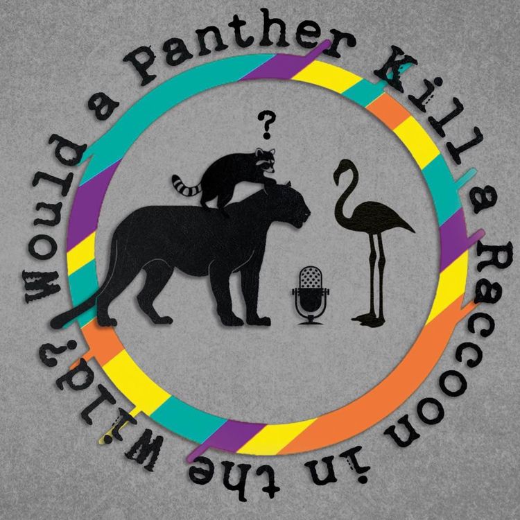 cover art for Episode 13: "Has Pingu Ever Committed Perjury?"