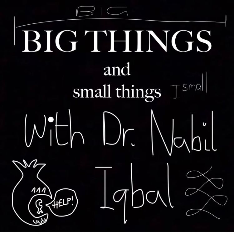 cover art for BIG THINGS AND SMALL THINGS with Nabil Iqbal