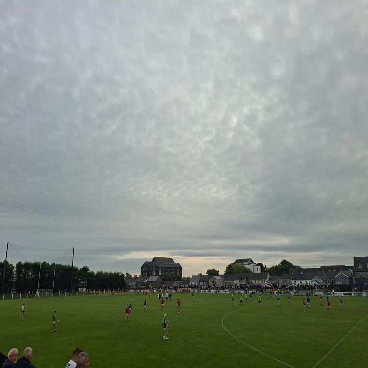 cover art for Dusting Off the Cobwebs