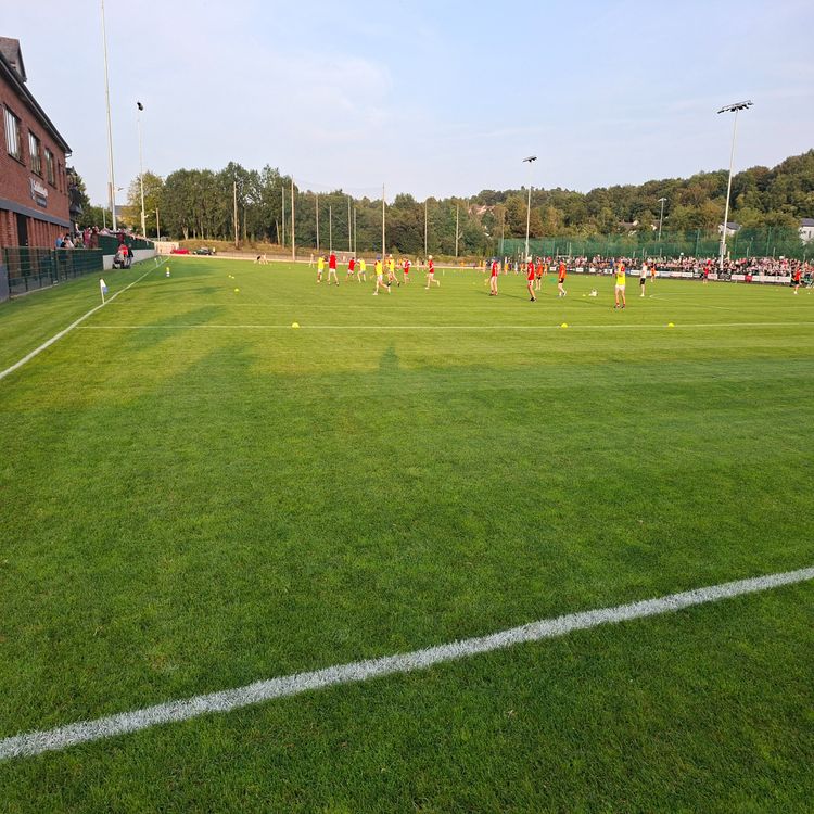 cover art for You Know What Some Might Say